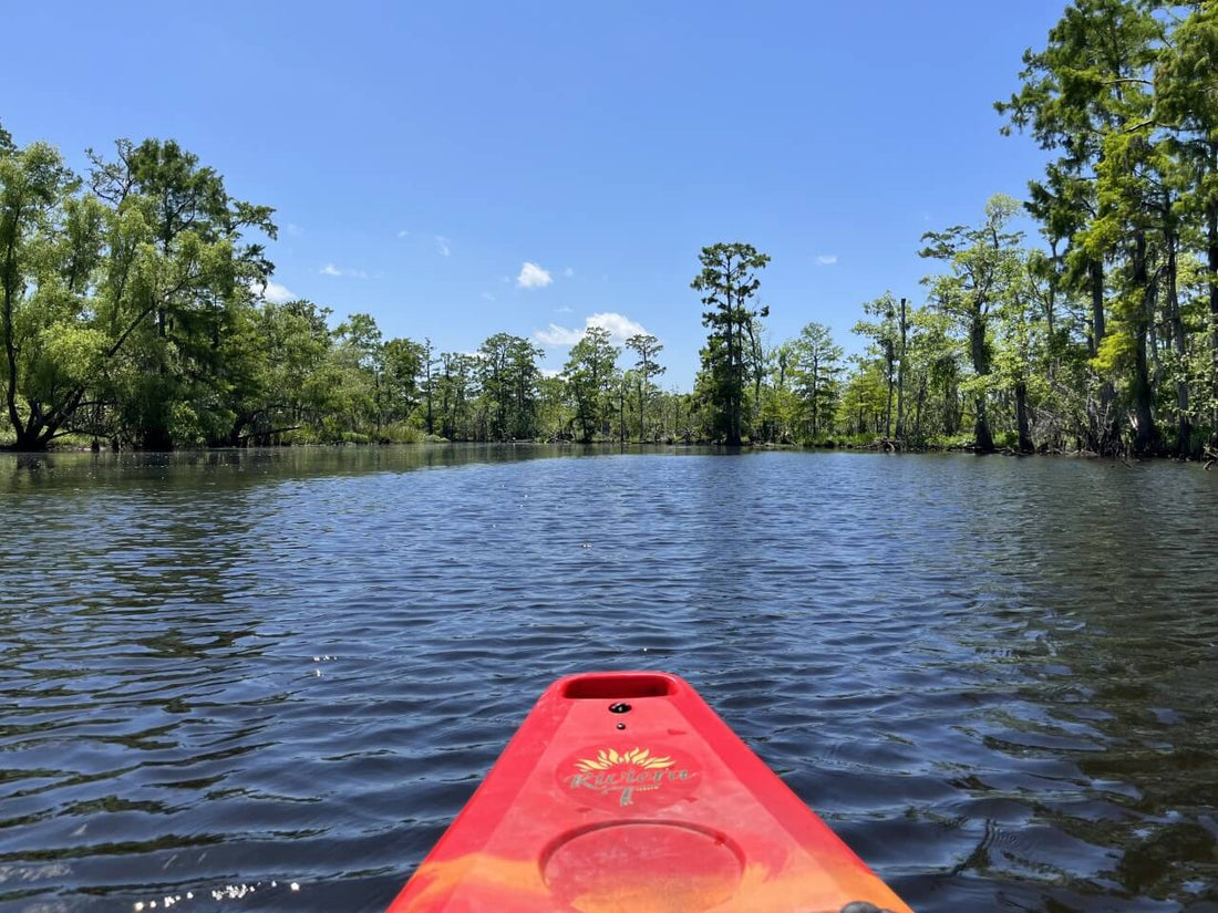 Dani Marie's US Travel Diary Part 1: A Swamp Tour On The Bayou - Dani Marie US