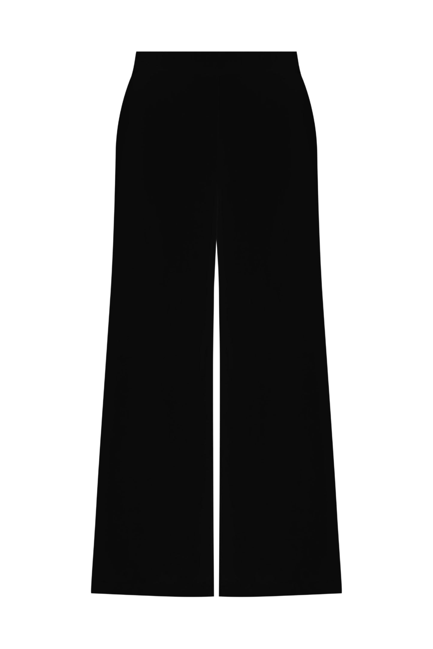 Adele Wide Leg Pants in Black