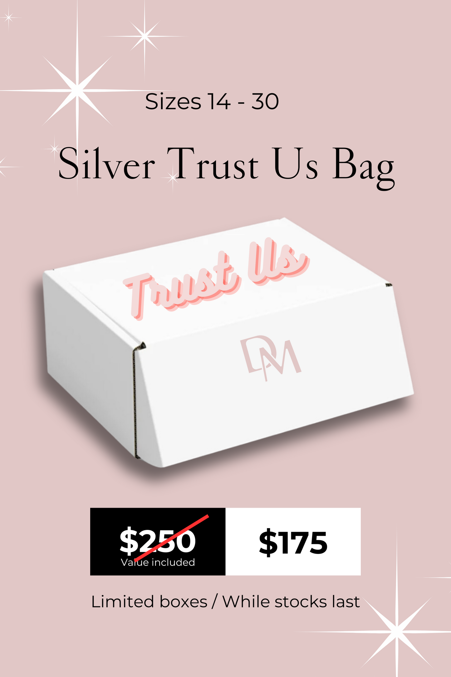 Silver Trust Us Bag (Value $250)